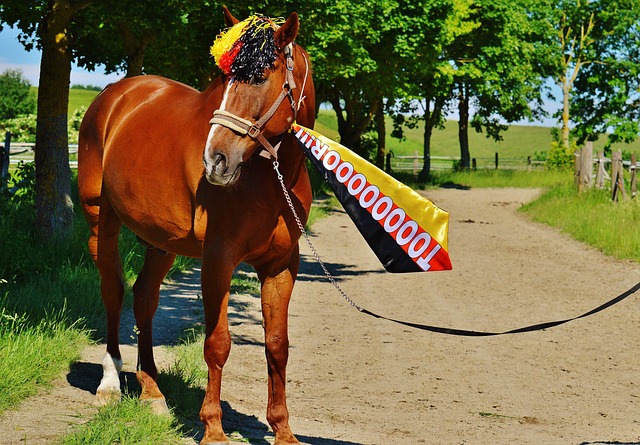 她们不仅仅 她们不仅仅