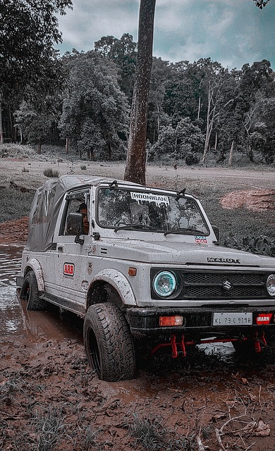 阿丘瓦的多 阿丘瓦的多