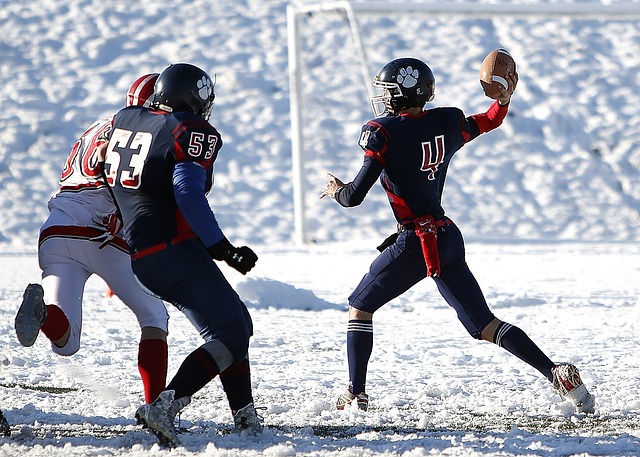 贏得了無數 贏得了無數