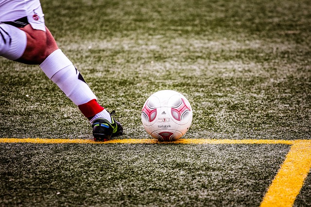 他的多功能 他的多功能