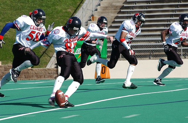 市发展的积 市发展的积